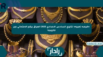 «فرصة ذهبية» نتائج السادس الإعدادي 2025 العراق برقم الامتحاني عبر نتائجنا